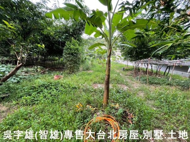 台北士林透天-4