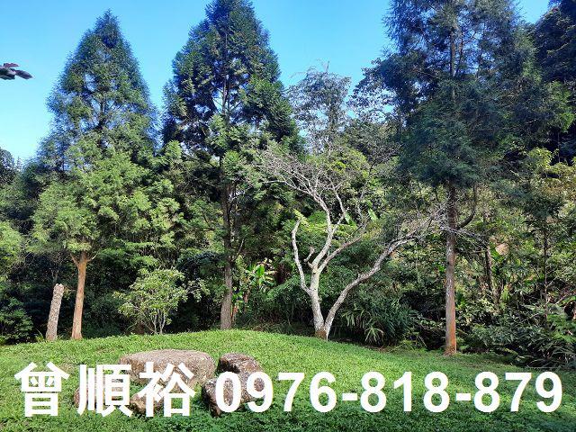 新竹農舍-14