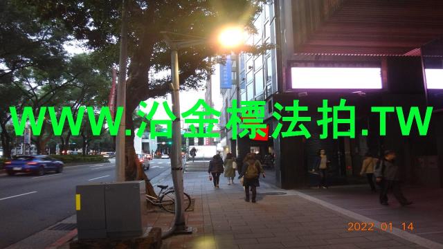 台北大安區法拍華廈-6