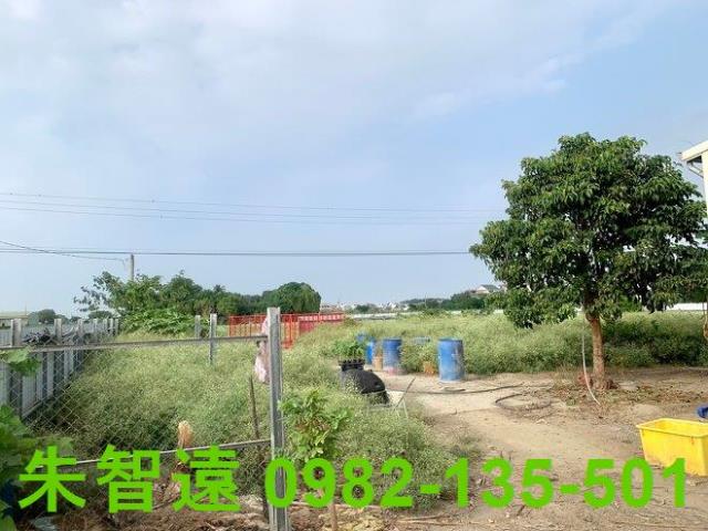 台南善化農作室-7