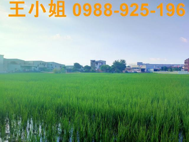 桃園八德農舍-4