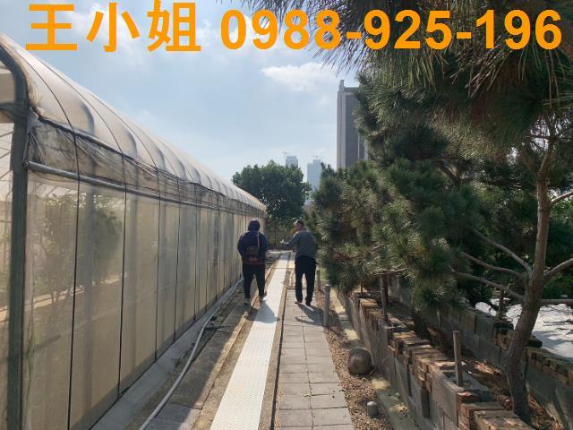 桃園中壢透天-9