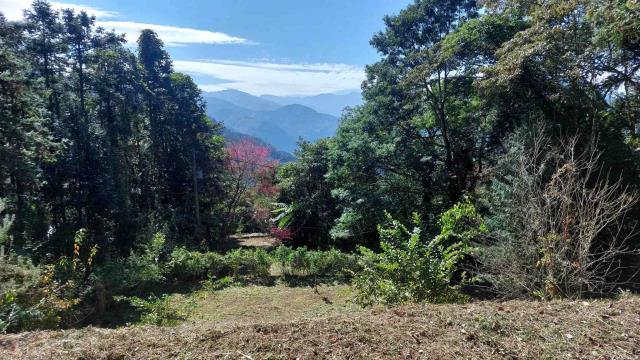 橫山農舍-13