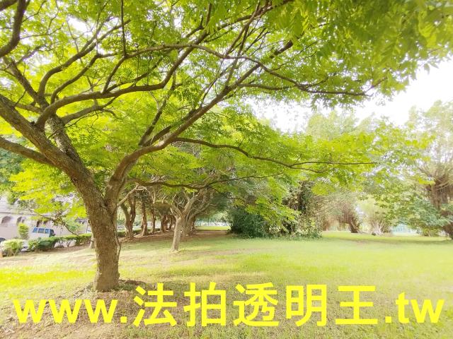 林口拍賣公寓-9