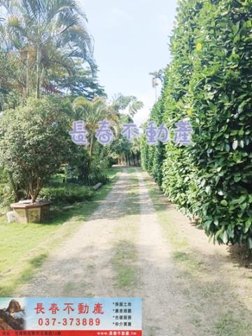 三灣農舍-5