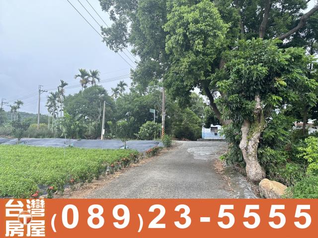 鑽石台東土地買賣