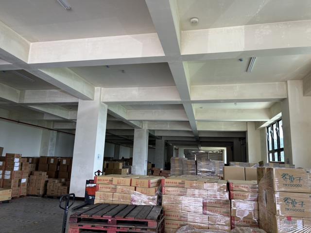 桃園龍潭廠房-3
