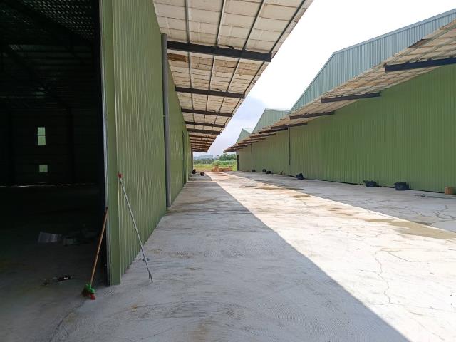 桃園楊梅廠房-4