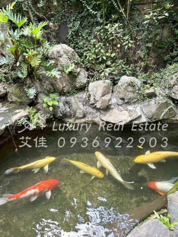 台北內湖別墅-9
