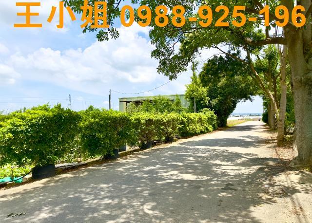 八德透天-3