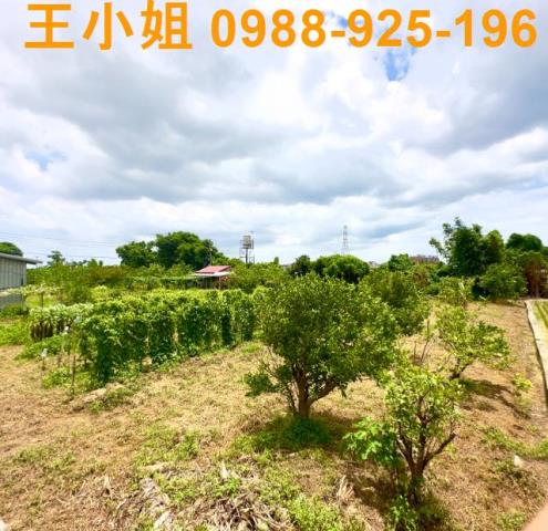 八德透天-5