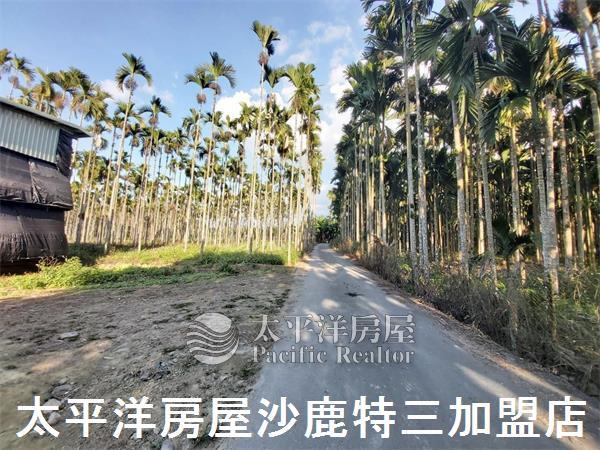 南投魚池農舍-3