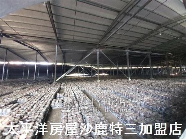 南投魚池農舍-5