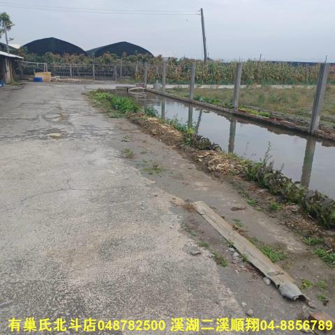 彰化農舍-11