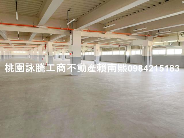 蘆竹大樓-4