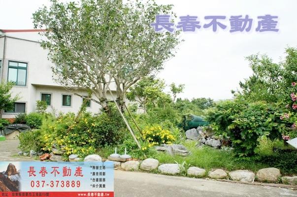 南庄農舍-3