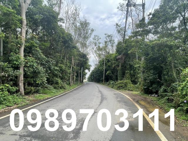 新北林口廠房-4