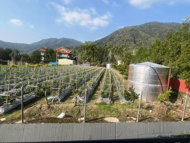 埔里別墅-3