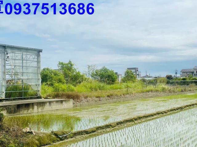 員山溫室-12