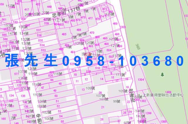 台中東勢法拍透天-2