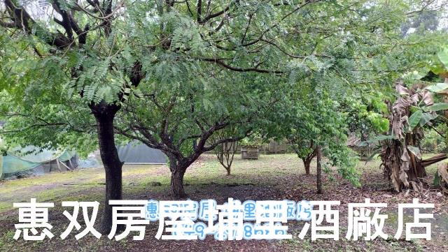 南投魚池未保存平房-5