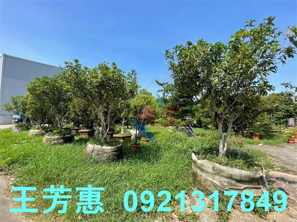 神岡廠房-5