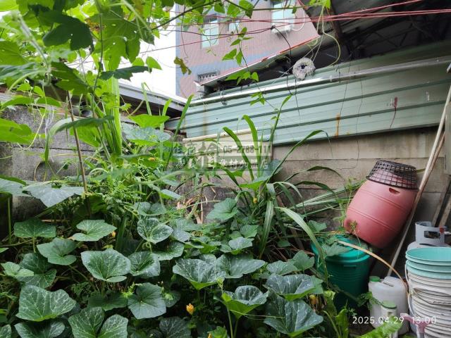 嘉義水上透天-5