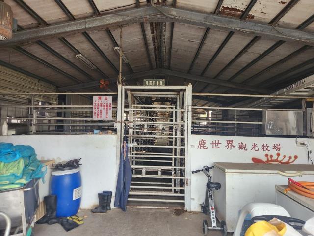 彰化竹塘牧場-5