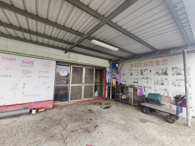彰化竹塘牧場-6