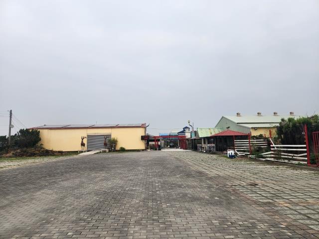 彰化竹塘牧場-8