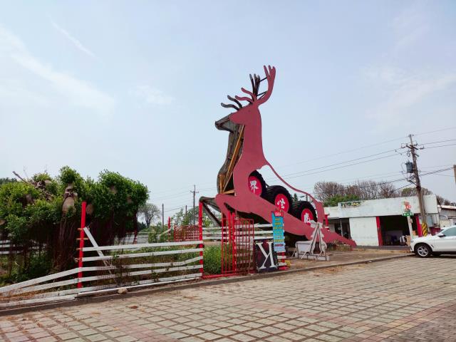 彰化竹塘牧場-1