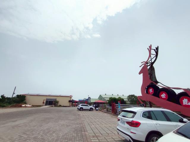 彰化竹塘牧場-3