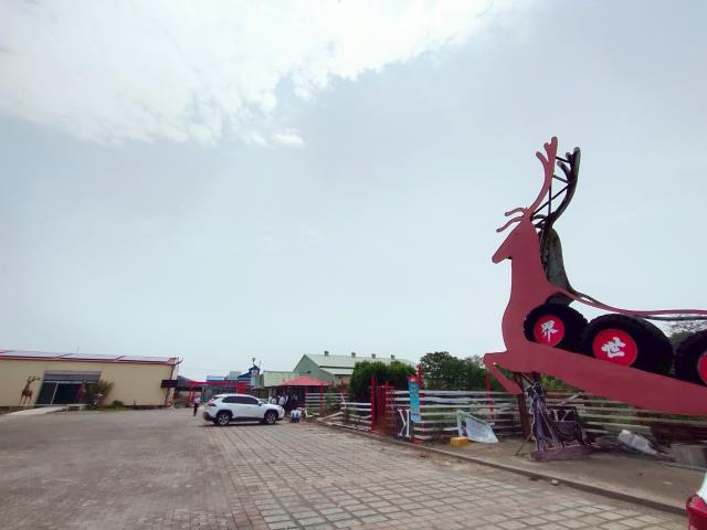 彰化竹塘牧場-9