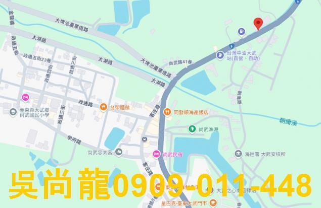 大武透天法拍-2