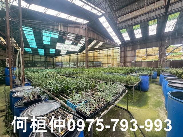 苗栗市廠房-2