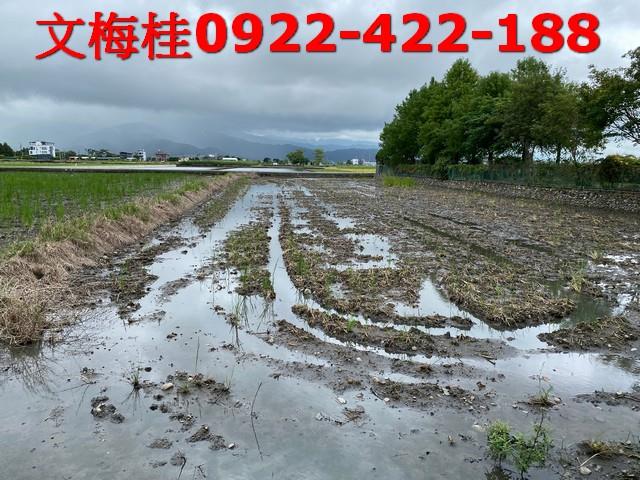 宜蘭農舍-9