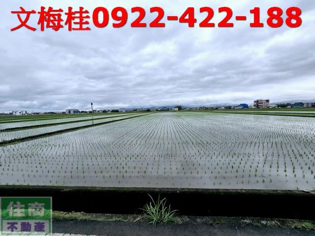 宜蘭壯圍農舍-3