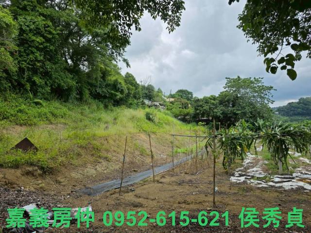 卓蘭透天-11