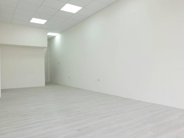 大里透天-8