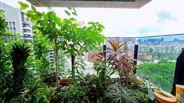 高雄左營大樓-13