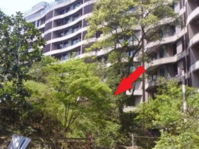 新北法拍大樓-2
