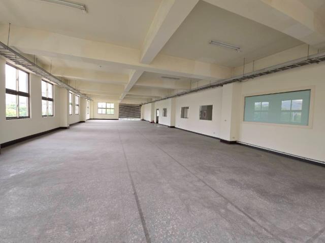 桃園桃園區廠房-3