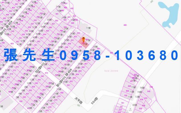 卑南拍賣透天-3