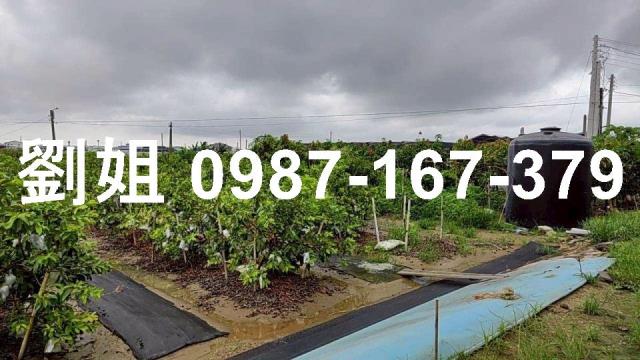 高雄阿蓮廠房-3