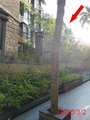 文山區拍賣別墅-5