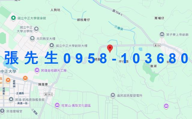 民雄拍賣透天-9