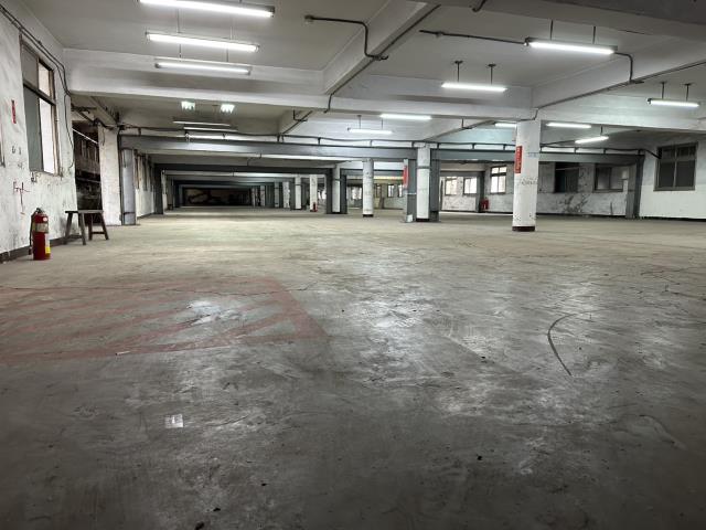 新北五股廠房-2