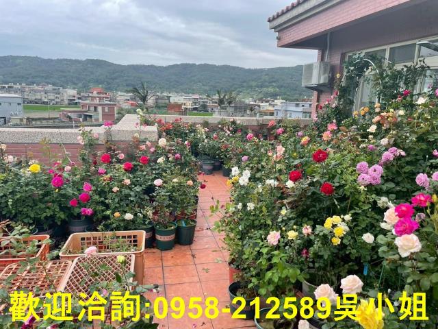 新竹竹北農舍-13