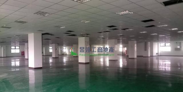 桃園楊梅廠房-2