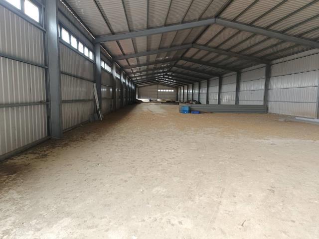 桃園觀音廠房-1